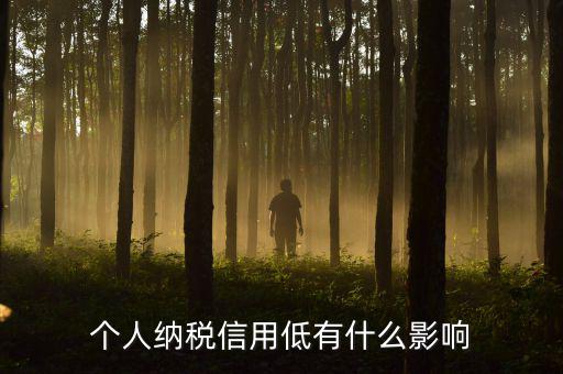 納稅信用記錄是什么，金稅三期納稅信用管理是什么意思