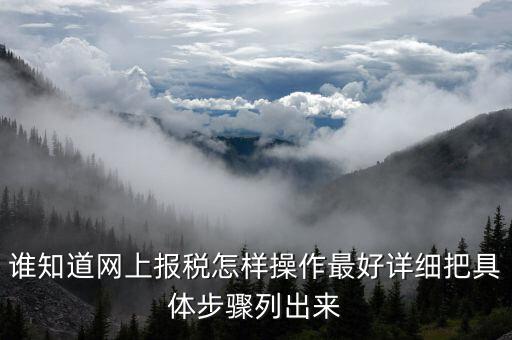 成品油消費(fèi)稅在什么系統(tǒng)申報(bào)，請(qǐng)教網(wǎng)上報(bào)稅步驟謝謝大家了