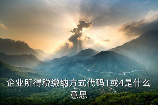 征收代碼是什么意思，工商所開的非稅收入收款收據(jù)上的代碼是什么意思