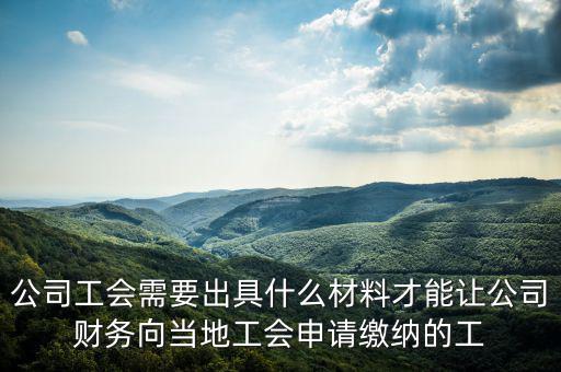 公司工會需要出具什么材料才能讓公司財(cái)務(wù)向當(dāng)?shù)毓暾埨U納的工