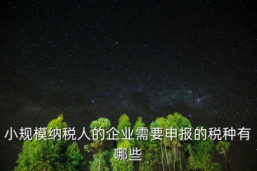 國稅小企業(yè)報(bào)什么稅，無錫 一般納稅人 小企業(yè)納稅人 國稅 地稅 分別要報(bào)哪些
