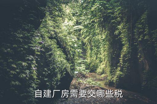 建廠房需要交什么稅，自建廠房需要交哪些稅