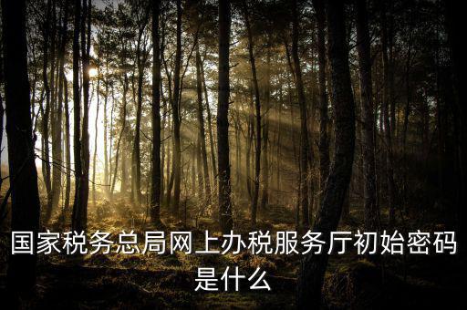江蘇地稅登錄密碼是什么意思，江蘇地稅開票密碼是多少