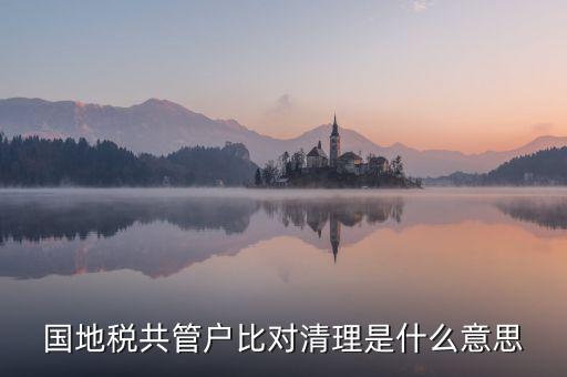 國(guó)地稅共管戶比對(duì)清理是什么意思
