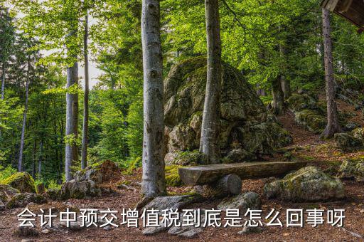 增值稅為什么要預(yù)繳，輔導(dǎo)期增購(gòu)增值稅發(fā)票為什么要預(yù)繳