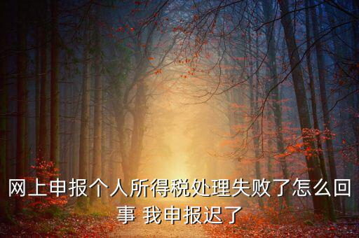 稅款處理失敗什么意思，扣繳稅款失敗提示銀財(cái)通處理失敗FAPP00444要怎樣處理才可以扣款