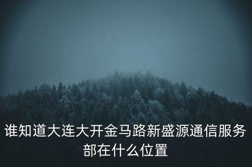 信息服務(wù)部可以叫什么地方，誰(shuí)知道大連大開金馬路新盛源通信服務(wù)部在什么位置