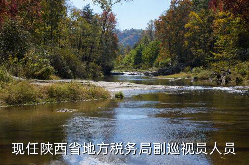 稅務(wù)局調(diào)研員是什么，一個(gè)縣區(qū)的稅務(wù)系統(tǒng)的局長(zhǎng)職位是調(diào)研員還是主任科員