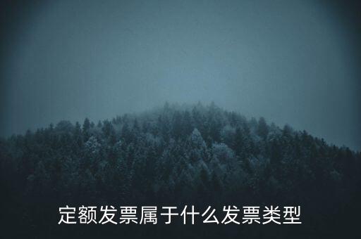 定額發(fā)票什么，河南省地稅定額發(fā)票怎么查詢