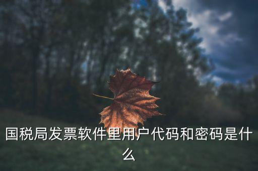 查詢發(fā)票要密碼是什么，國(guó)稅局發(fā)票軟件里用戶代碼和密碼是什么