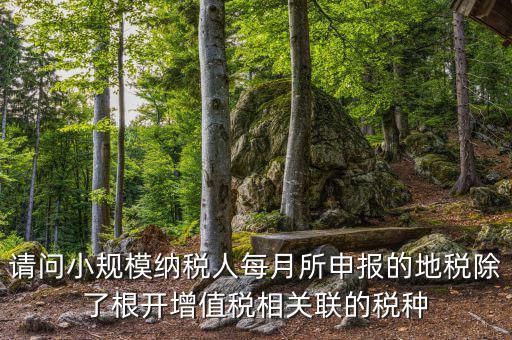 請(qǐng)問(wèn)小規(guī)模納稅人每月所申報(bào)的地稅除了根開增值稅相關(guān)聯(lián)的稅種
