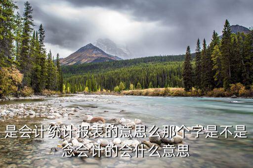 統(tǒng)計納稅申報表是什么，請問納稅申報中的基礎表數(shù)據(jù)中的基礎表是指什么