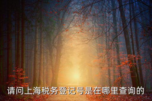 上海的稅務(wù)賬號是什么，請問上海稅務(wù)登記號是在哪里查詢的