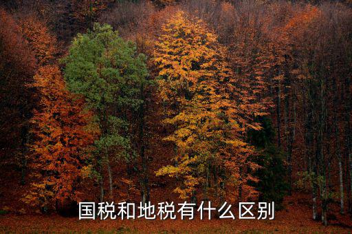 內(nèi)地稅是什么，請問地稅開的是什么發(fā)票國稅開的又是哪些發(fā)票比如說增值稅發(fā)