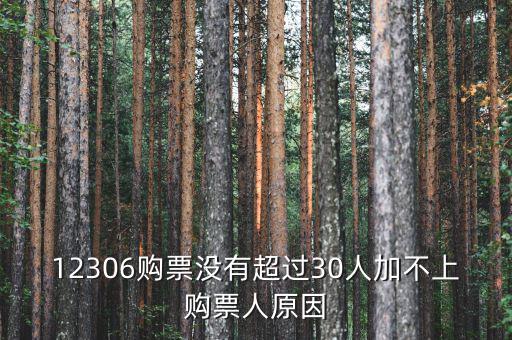 12306購(gòu)票沒(méi)有超過(guò)30人加不上購(gòu)票人原因