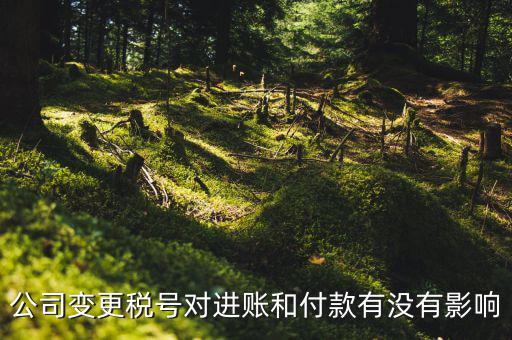 換稅號注意什么，公司變更稅號對進(jìn)賬和付款有沒有影響