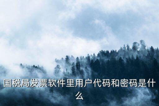 網(wǎng)上認(rèn)證發(fā)票平臺密碼是什么樣的，國稅局發(fā)票軟件里用戶代碼和密碼是什么