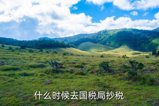 什么時候抄稅報稅，什么時候去國稅局抄稅