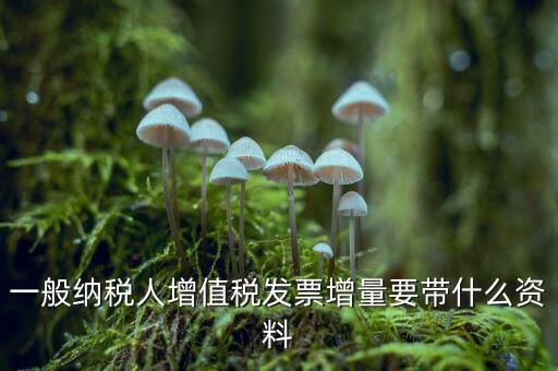 增加開票人需要什么資料，申請開票人變更需要哪些材料