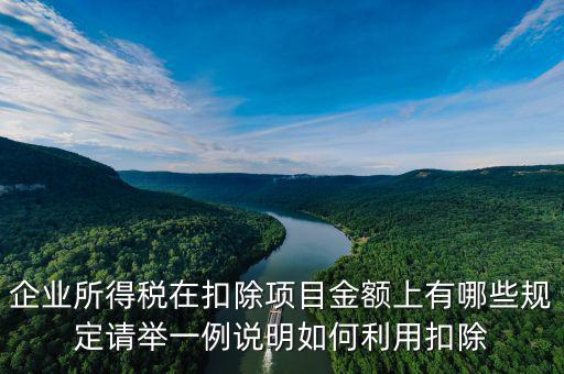 扣除項目金額是什么，應稅服務扣除項目清單中允許扣除項目金額指的是什么是總