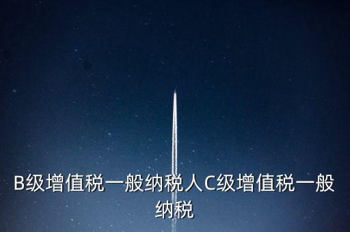 納稅用戶c級(jí)企業(yè)是什么意思，B級(jí)增值稅一般納稅人C級(jí)增值稅一般納稅