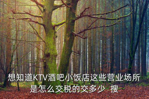 ktv交納什么稅，想知道KTV酒吧小飯店這些營業(yè)場所是怎么交稅的交多少  搜