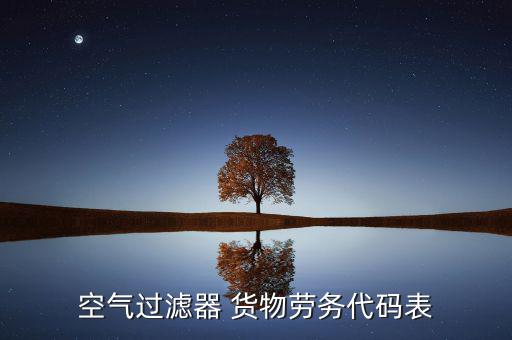 空氣過濾器 貨物勞務(wù)代碼表