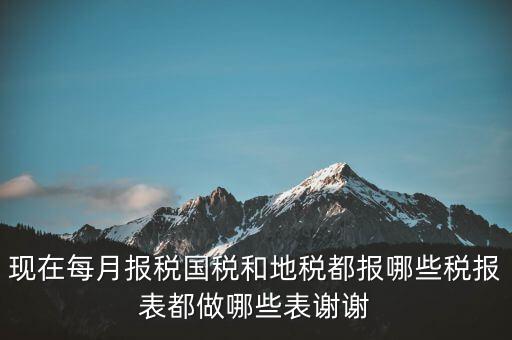 國(guó)稅報(bào)什么，現(xiàn)在每月報(bào)稅國(guó)稅和地稅都報(bào)哪些稅報(bào)表都做哪些表謝謝