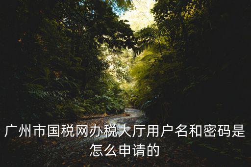 廣州國稅官網登錄密碼是什么原因，國稅第一次網上申報的登陸密碼是什么
