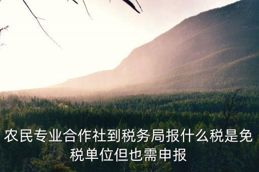 合作社應報什么稅，農民專業(yè)合作社是怎樣報稅的是企業(yè)還是個體戶