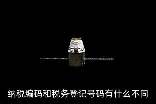個(gè)人納稅編號(hào)是什么意思，納稅編碼和稅務(wù)登記號(hào)碼有什么不同