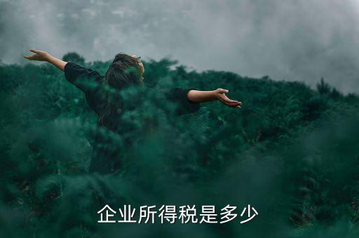 生產(chǎn)企業(yè)稅收標(biāo)準(zhǔn)是什么，企業(yè)所得稅是多少