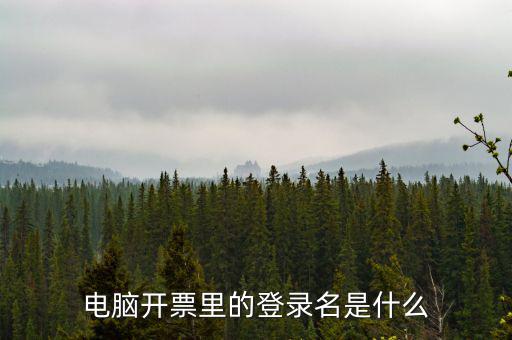 電子稅務局登錄賬號是什么意思，企業(yè)金稅盤系統(tǒng)用來開票抄稅報稅用那登錄國稅地稅局網(wǎng)站是干嘛的