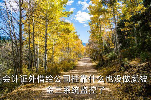 金三系統(tǒng)有什么問(wèn)題，會(huì)計(jì)證外借給公司掛靠什么也沒(méi)做就被金三系統(tǒng)監(jiān)控了