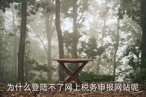 申報(bào)個(gè)稅登錄不上去是什么原因，為什么我的個(gè)人所得稅總是登不上去