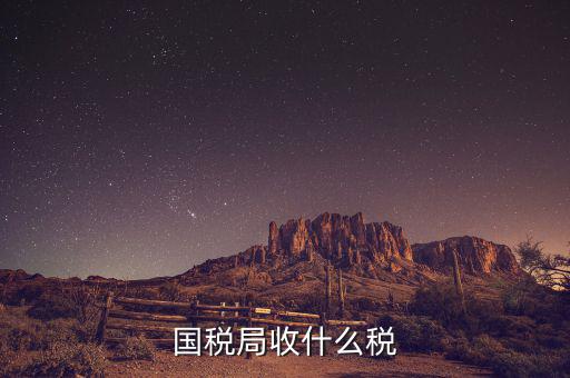 南寧國(guó)稅局收什么的稅，請(qǐng)教南寧國(guó)稅納稅具體多少以1000元收入為例
