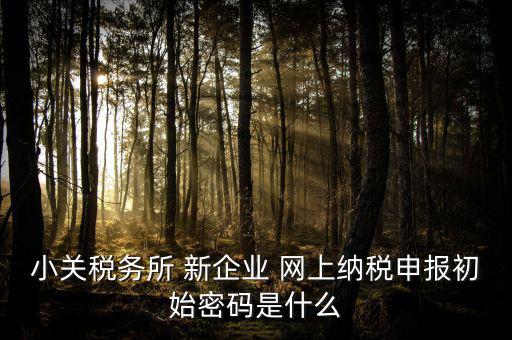 深圳國(guó)稅微信預(yù)約密碼是什么意思，小關(guān)稅務(wù)所 新企業(yè) 網(wǎng)上納稅申報(bào)初始密碼是什么