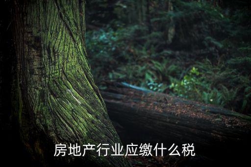 房地產(chǎn)企業(yè)要交什么稅，房地產(chǎn)行業(yè)應(yīng)繳什么稅