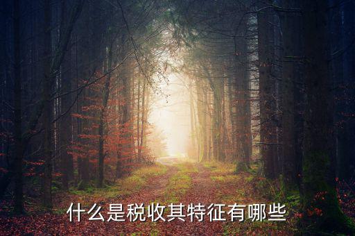 稅收的特點是什么意思，稅收的實質和特征