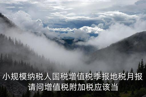 小規(guī)模納稅人國(guó)稅增值稅季報(bào)地稅月報(bào)請(qǐng)問(wèn)增值稅附加稅應(yīng)該當(dāng)