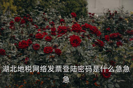 湖北地稅網(wǎng)絡(luò)發(fā)票登陸密碼是什么急急急