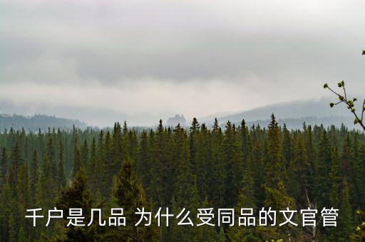什么千戶集團，千戶是什么意思