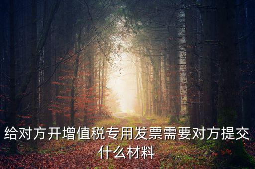 開專票要什么資料，加油卡開增值稅專用發(fā)票需要什么資料