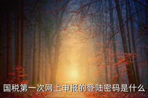 網(wǎng)上稅稅通密碼是什么，國(guó)稅第一次網(wǎng)上申報(bào)的登陸密碼是什么