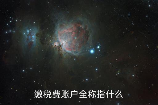 納稅賬戶是什么，我們公司申請(qǐng)的一個(gè)專門用來繳納稅款的賬戶是什么賬戶