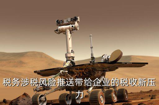 什么是稅務風險推送，什么就稅物風險