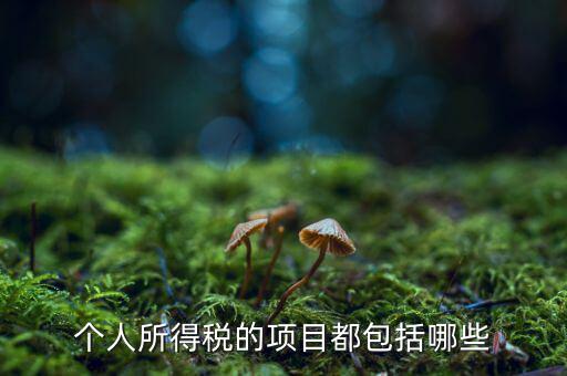 所得項目填什么，個人所得稅必須要填寫六項嗎我沒一項符合
