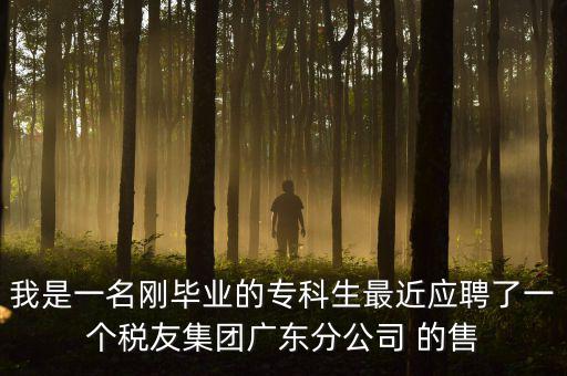 我是一名剛畢業(yè)的?？粕罱鼞?yīng)聘了一個稅友集團廣東分公司 的售