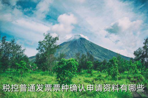 票種核定申請交什么資料，發(fā)票票種核定調整被拒需要提供什么資料