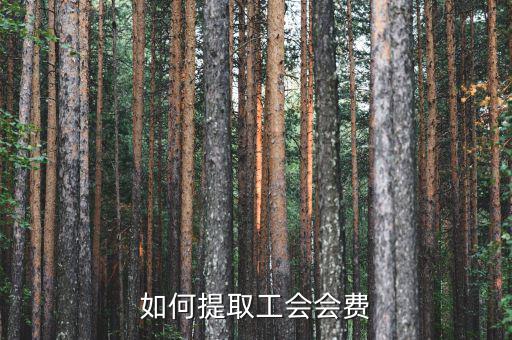 如何提取工會會費(fèi)